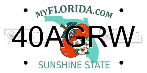 40AGRW Florida License Plate