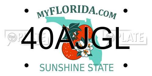 40AJGL Florida License Plate