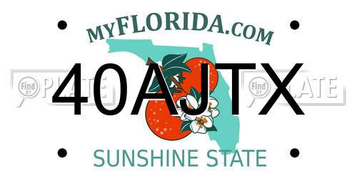 40AJTX Florida License Plate