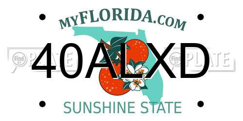 40ALXD Florida License Plate