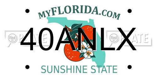 40ANLX Florida License Plate
