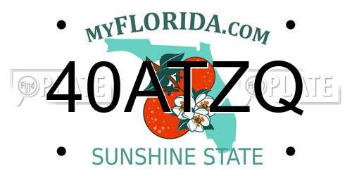 40ATZQ Florida License Plate