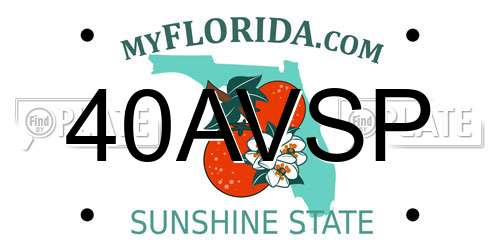 40AVSP Florida License Plate