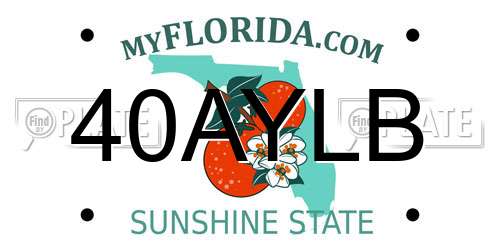 40AYLB Florida License Plate
