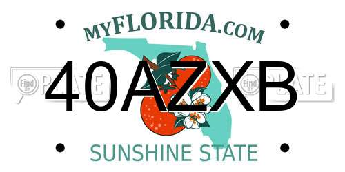 40AZXB Florida License Plate
