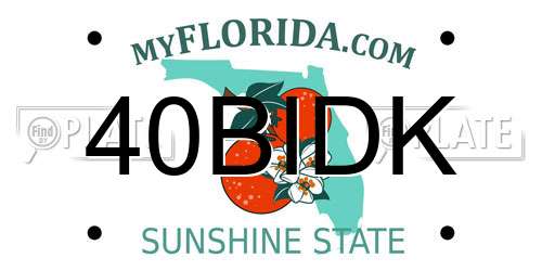 40BIDK Florida License Plate