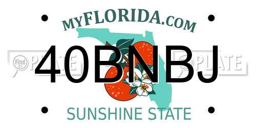 40BNBJ Florida License Plate