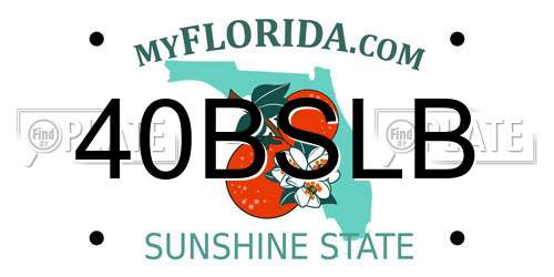 40BSLB Florida License Plate