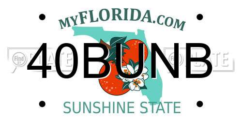 40BUNB Florida License Plate