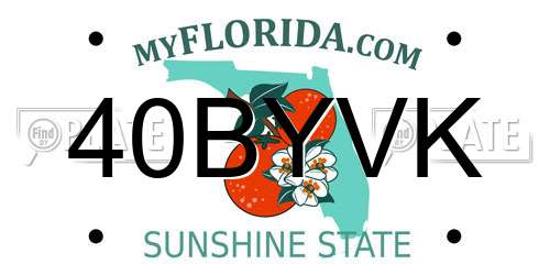 40BYVK Florida License Plate