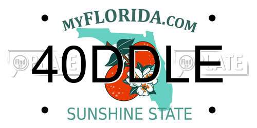 40DDLE Florida License Plate