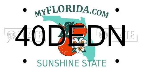 40DEDN Florida License Plate