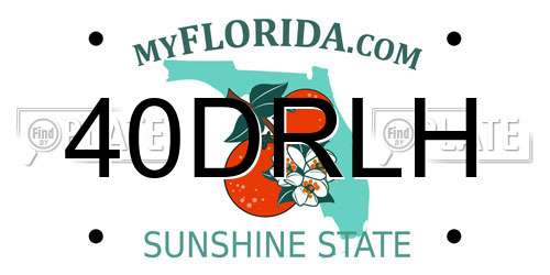 40DRLH Florida License Plate