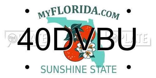 40DVBU Florida License Plate