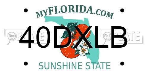 40DXLB Florida License Plate