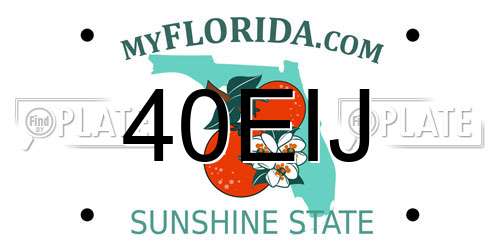 40EIJ Florida License Plate