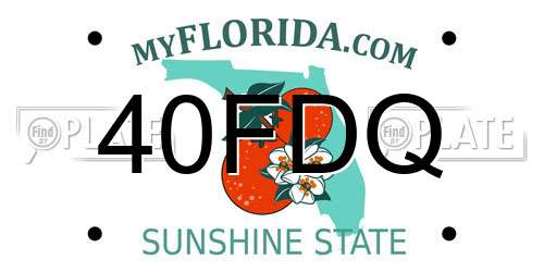 40FDQ Florida License Plate