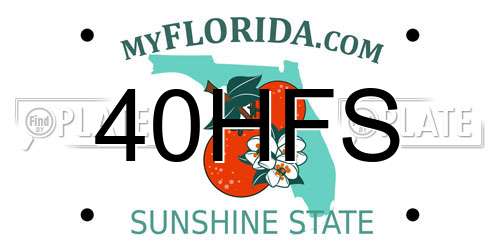 40HFS Florida License Plate