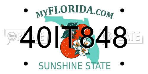 40IT848 Florida License Plate