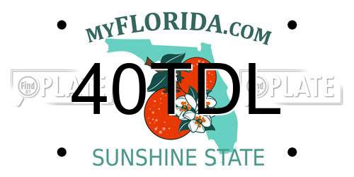 40TDL Florida License Plate