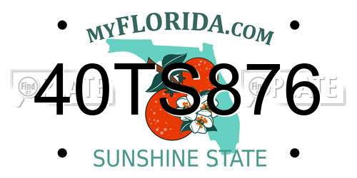 40TS876 Florida License Plate