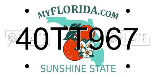 40TT967 Florida License Plate