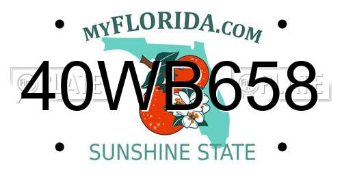 40WB658 Florida License Plate