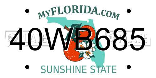40WB685 Florida License Plate