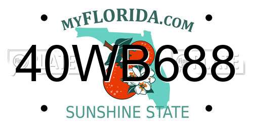 40WB688 Florida License Plate