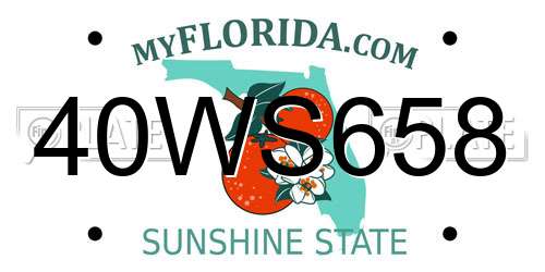 40WS658 Florida License Plate