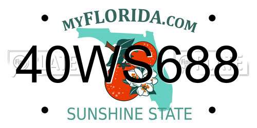 40WS688 Florida License Plate