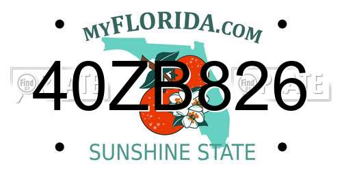 40ZB826 Florida License Plate