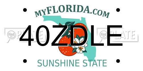 40ZDLE Florida License Plate