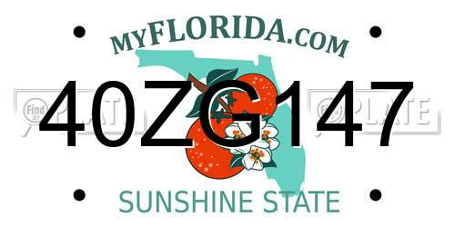 40ZG147 Florida License Plate