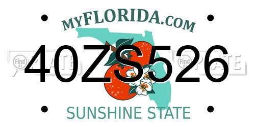 40ZS526 Florida License Plate