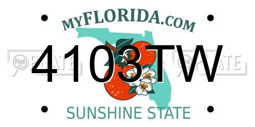 4103TW Florida License Plate