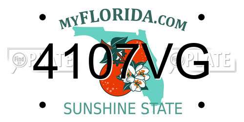 4107VG Florida License Plate