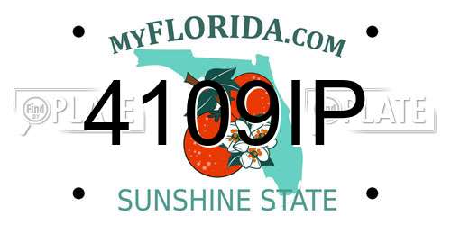 4109IP Florida License Plate