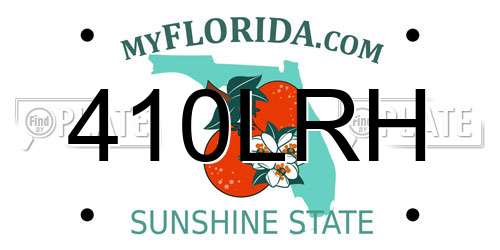 410LRH Florida License Plate
