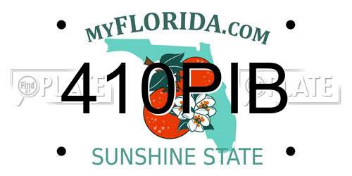 410PIB Florida License Plate
