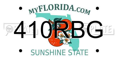 410RBG Florida License Plate