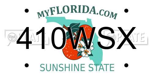 410WSX Florida License Plate