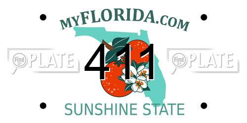411 Florida License Plate
