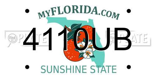 4110UB Florida License Plate