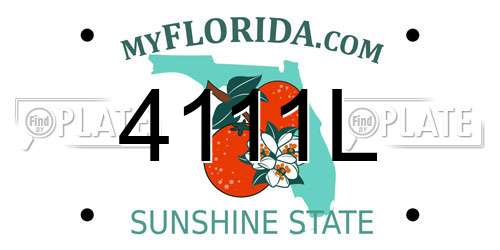 4111L Florida License Plate