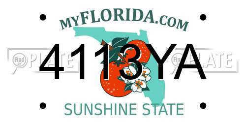 4113YA Florida License Plate