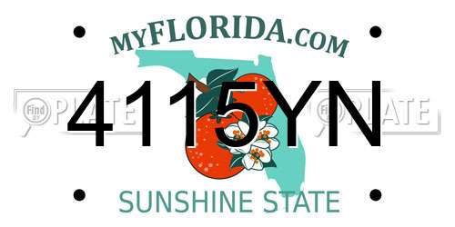 4115YN Florida License Plate