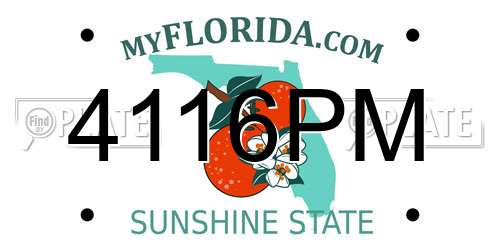 4116PM Florida License Plate