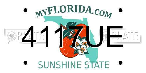 4117UE Florida License Plate