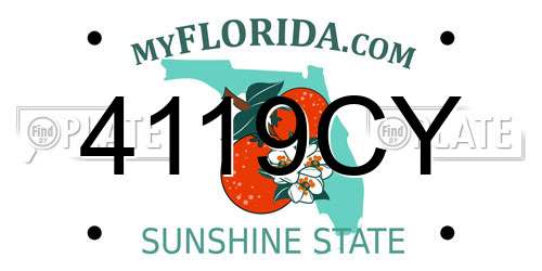 4119CY Florida License Plate